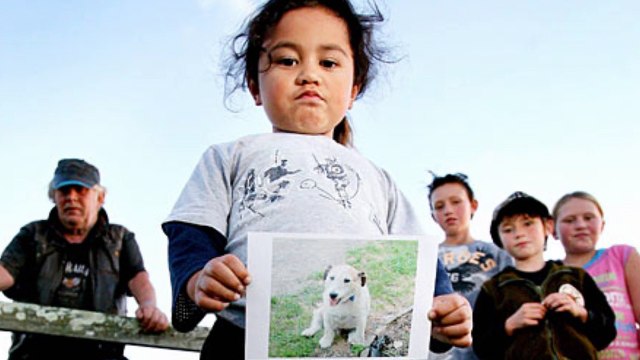 5 CACHORROS QUE MORRERAM PARA SALVAR SEUS DONOS