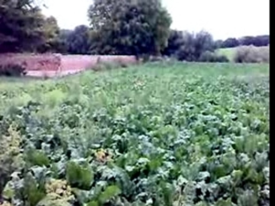 Le retour du fermier...