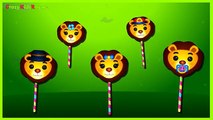 The Finger Family Lion Lollipop Family Nursery Rhymes | Lion Lollipop Finger Family Songs