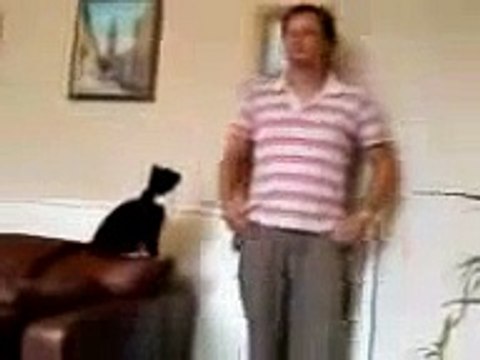 Кот напакостил и просит прощения Очень смешно