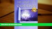 Read Book The Power Of Gratitude Lamees Alhassar  For Online