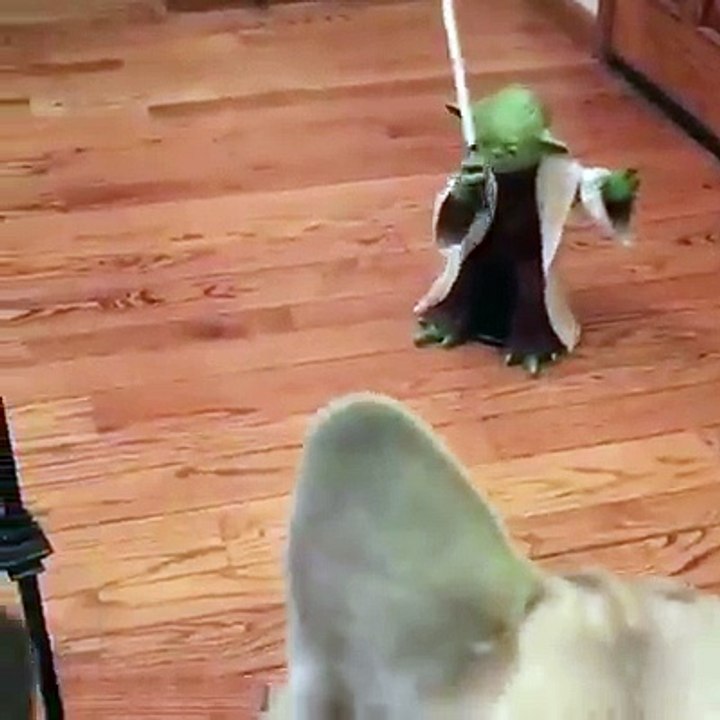 mestre Yoda