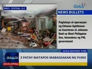 Saksi: 2 patay matapos mabagsakan ng puno