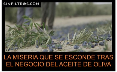 El drama de los temporeros | Sinfiltros.com