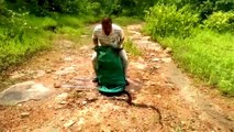 Crazy moment snake catcher releases hundreds of snakes into forest