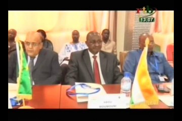 Les criquets pèlerins constituent toujours une menace pour les agriculteurs de l’Afrique de l’Ouest