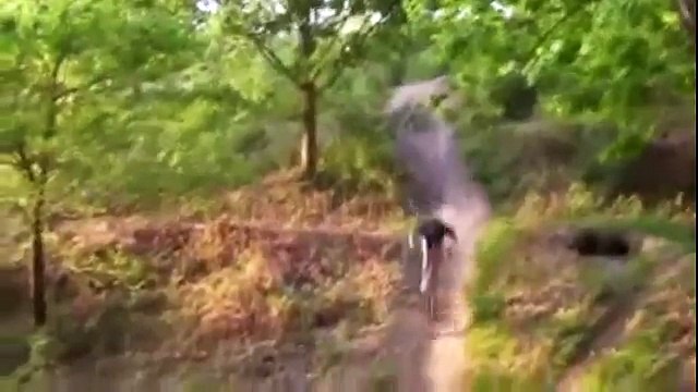 Самые УГАРные падения за декабрь! Falling!