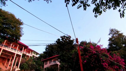 Two squirrels trying their luck on electrical cables, Thailand