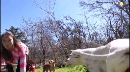 ПРИКОЛЫ FAIL Compilation