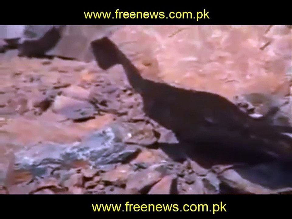 Hazrat Amina Bibi (R.A) ki Qabar-e-Mubarik. (Mukam-e-Abwa)