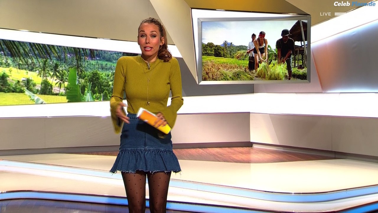 Annemarie Carpendale - taff - ProSieben HD - 31.1.2017