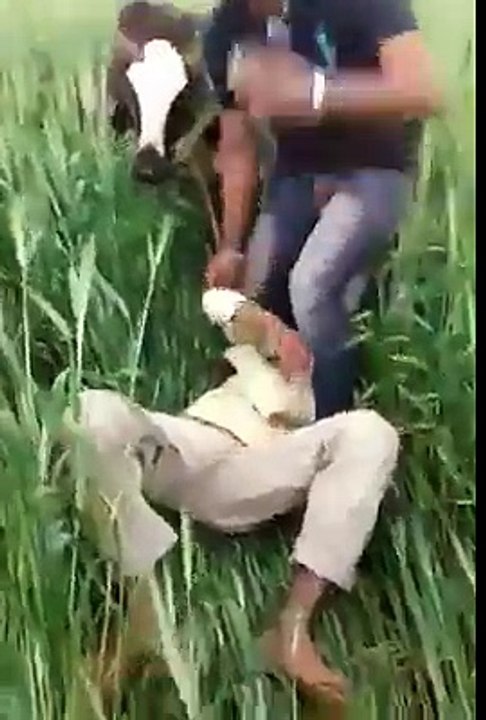whatsapp funny clip bike riding