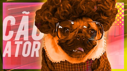 ACASALAMENTO DE GANÇOS E O CACHORRO ATOR