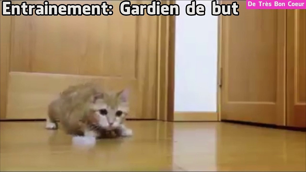 Le futur gardien de but de l'équipe de france