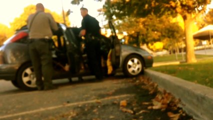 Drug Dog Tested Positive on my Car in Hyrum, Utah; October 2016