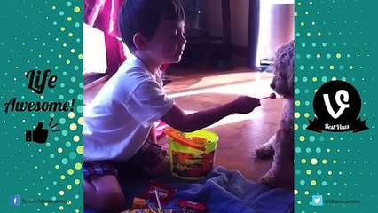 TRY NOT TO LAUGH or GRIN - FUNNY Kids Fails Compilation 2016 by Life Awesome