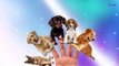 Dog Cartoon Finger Family Song | Puppies Cartoon Finger Family Children Nursery Rhymes