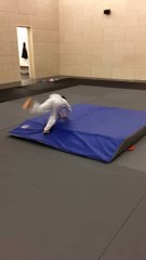 Cours du 31 janvier 2017