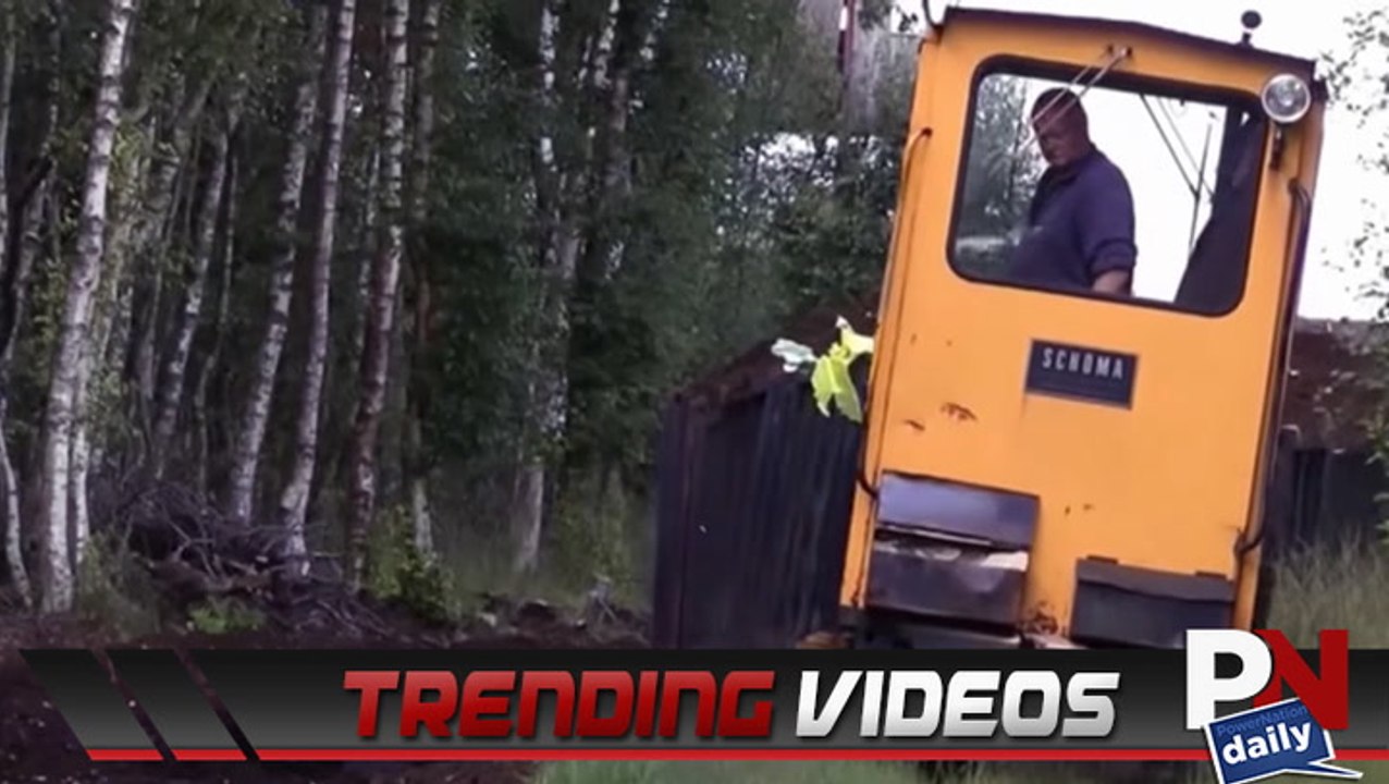 What's Trending This Week Online?