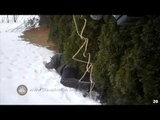 Cop Shoots Unarmed Man in Back Lying Face Down in the Snow