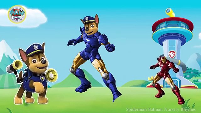 Paw Patrol Transforms Into Iron Man Finger Family Song - Iron Man as Paw Patrol Nursery Rhymes