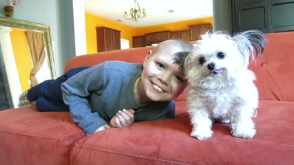 Cutest Therapy Dog Brings Smiles, Gives High Fives
