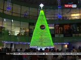 SONA: Mga sea lion, nanguna sa pagpapailaw ng giant Christmas tree sa Manila Ocean Park