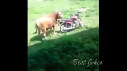 Хочешь поржать  подборка приколов 2016 и неудач Best Jokes52