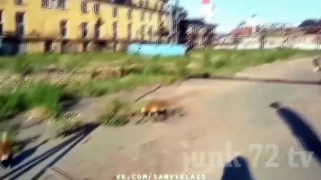 Быдло и всякая нечисть получает по заслугам. 16