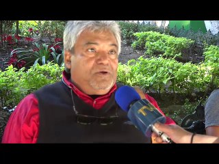 Sondeo politicas de Trump