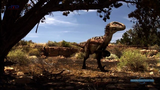 Войны Юрского периода 8 серия из 12. Последний бой Ютараптора (2008)