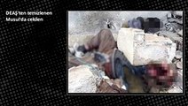 Öldürülen DEAŞ'lı Teröristlerin Cesetlerini Hayvanlar Parçalıyor