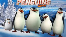 Penguins of Madagascar Finger Family | Nursery Rhyme for Children | 4K Video