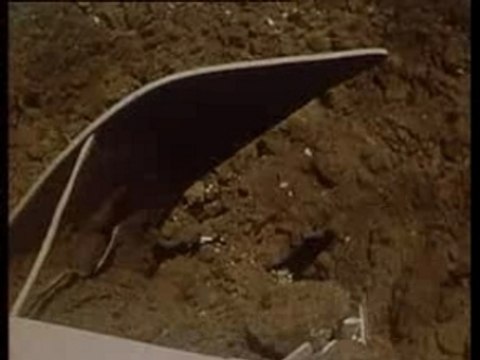 תקומה - פרק 17 - כלכלה - חלק 1