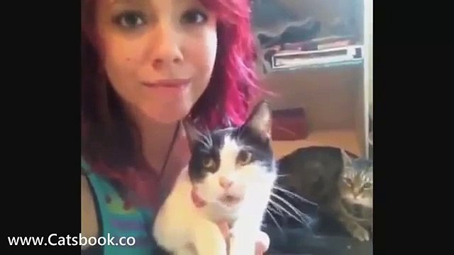 Котэ и кошки самые прикольные животные