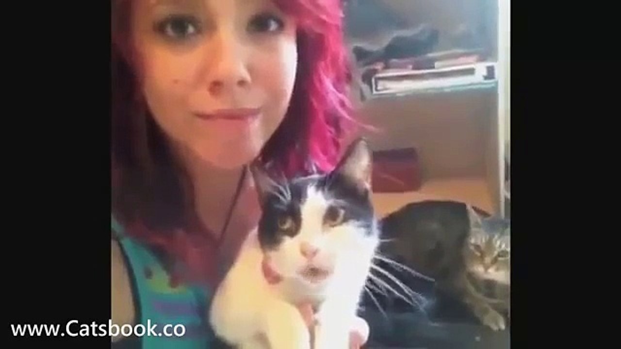 Котэ и кошки самые прикольные животные