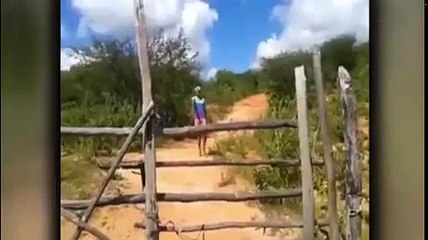 (QMDC) Minha primeira Zueira