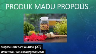 Call/Wa:0877-2554-4000 (XL) Produk Madu propolis