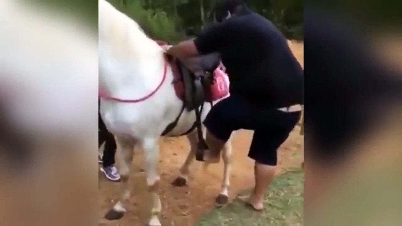 Толстый мужик и лошадь!  словно три тонны в копейку запихнуть  Смех до слез!