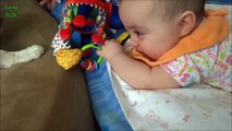 Puppies and Babies Playing Together Compilation 2014