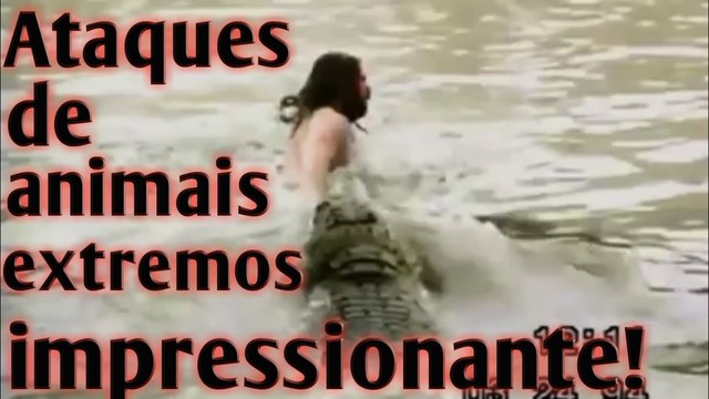 Ataques de animais extremos em seres humanos...impressionante!