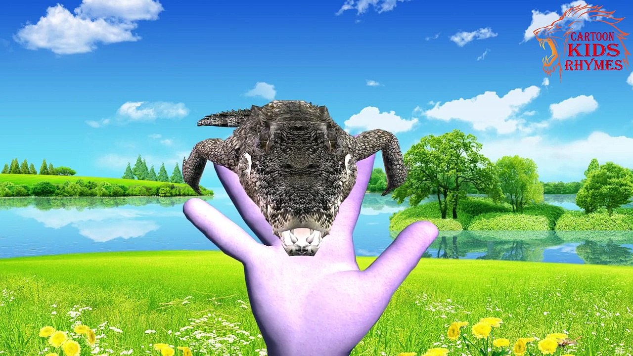 Finger Family Nursery Rhymes | Children Cartoons Crocodile Finger Family