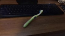 Jeux vidéos pour brosse à dents connectée ? Blague ? Gaming Toothbrush