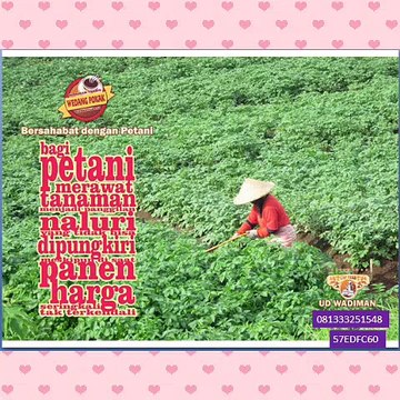 CallWA +6281-3332-5154-8 (telkomsel) Jual Wedang Uwuh Murah, Jual Wedang Uwuh Instan, Jual Wedang Uwuh Instan,