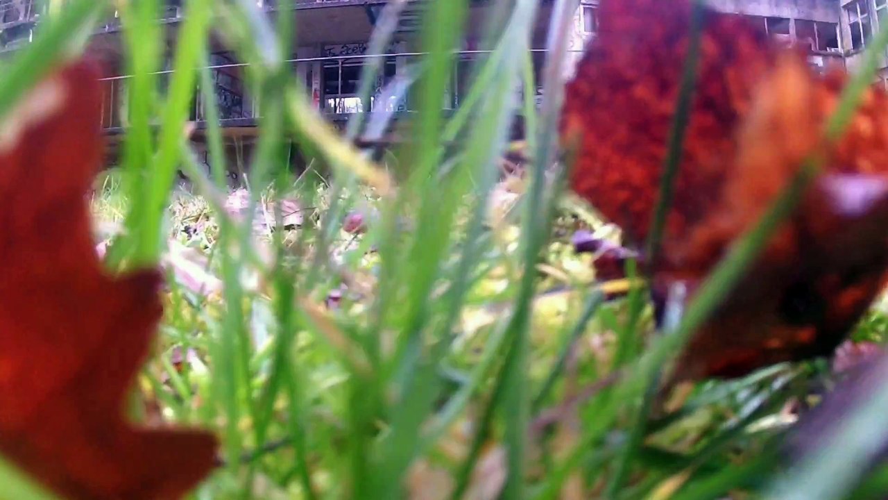 [urbex] teaser-Le Sanatorium D'aincourt #4