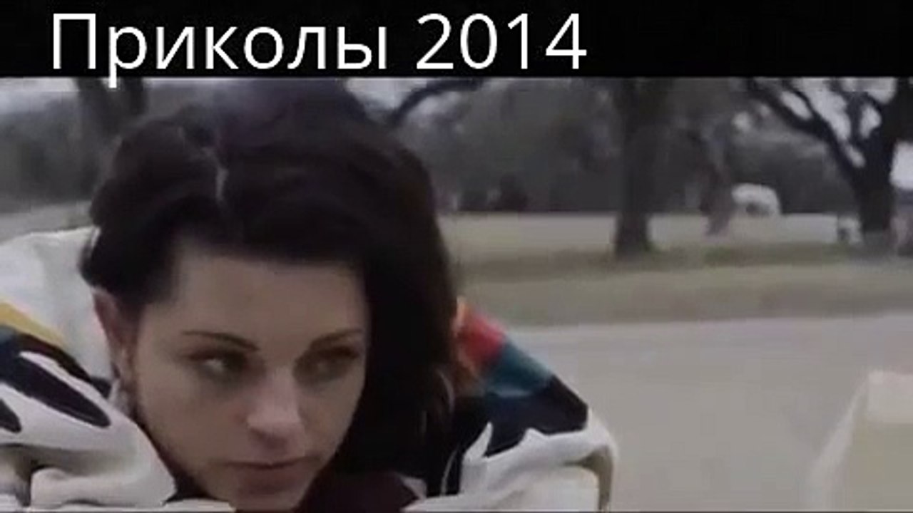 Собака лучший друг человека