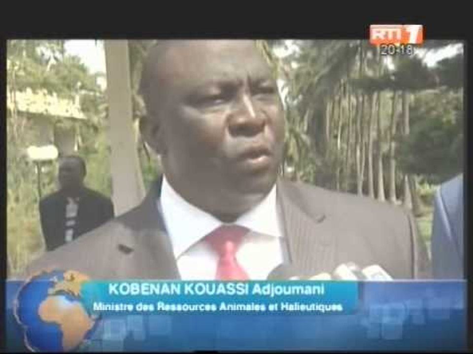 5ème conférence ministérielle du comité des pêches du centre ouest du golf de Guinée