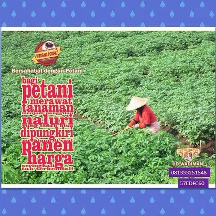 CallWA +6281-3332-5154-8 (T-Sel)  Tempat Jual Wedang Uwuh Di Jogja, Jual Wedang Uwuh Semarang, Jual Wedang Uwuh Online,