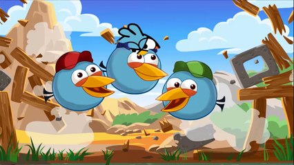 Download Video: Angry Birds Transform - Angry Birds Coloring Pages For Learning Colors Part 9 : Blue Birds