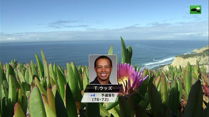 ＰＧＡ ゴルフツアー ファーマーズ インシュランス オープン 2017 最終日